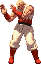 Andy Bogard