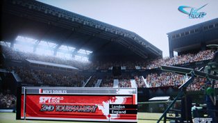 Stadium atmosphere is realistic.